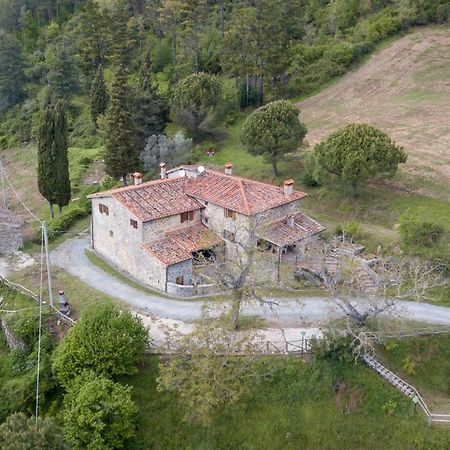 Fattoria Di Cintoia Villa Pontassieve Exteriör bild
