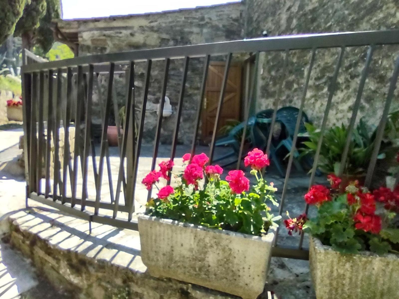 Fattoria Di Cintoia Villa Pontassieve Exteriör bild