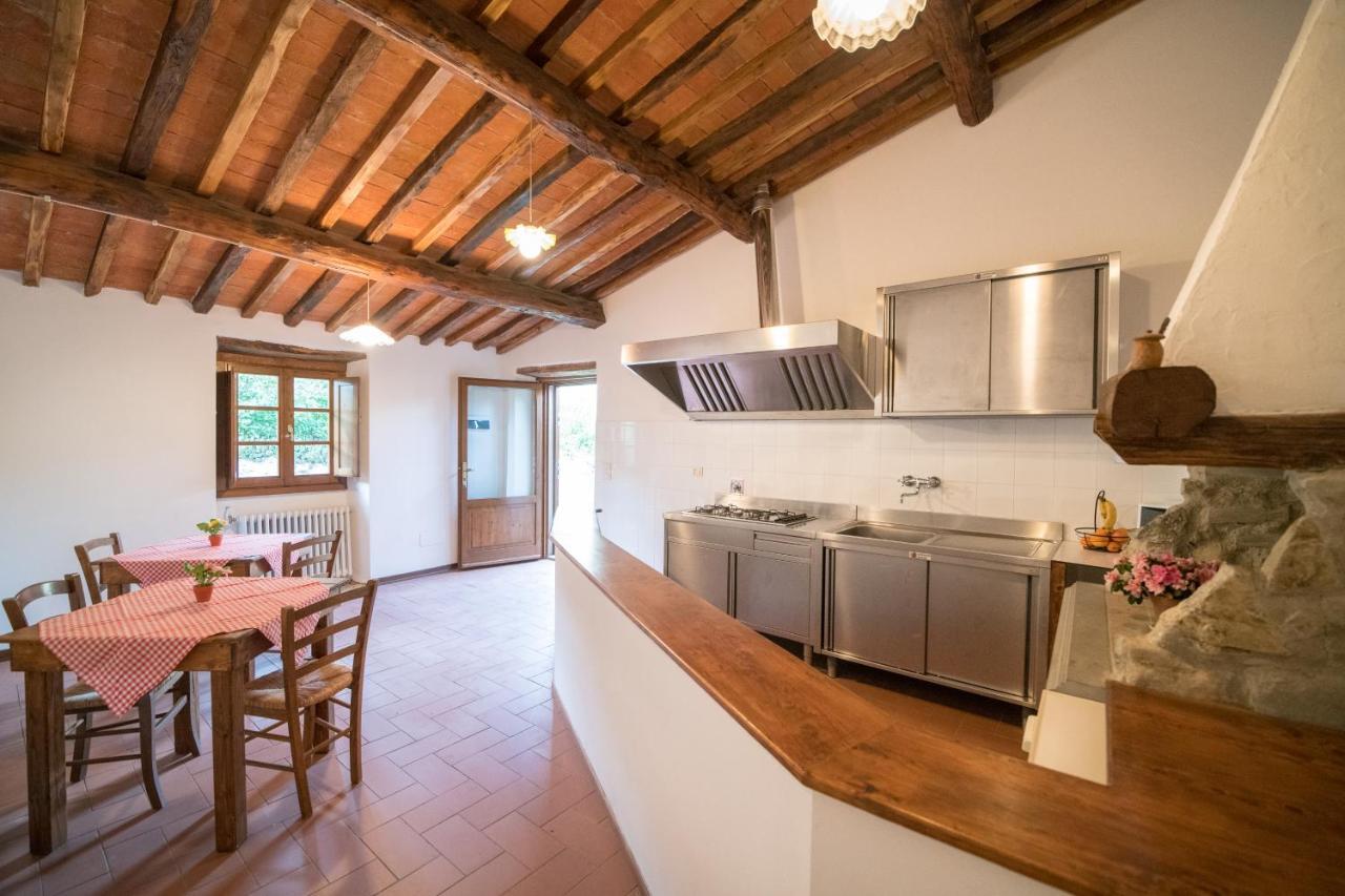 Fattoria Di Cintoia Villa Pontassieve Exteriör bild