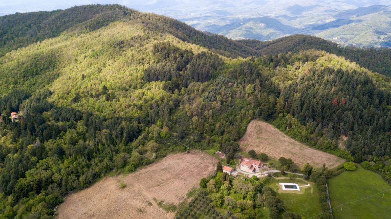 Fattoria Di Cintoia Villa Pontassieve Exteriör bild