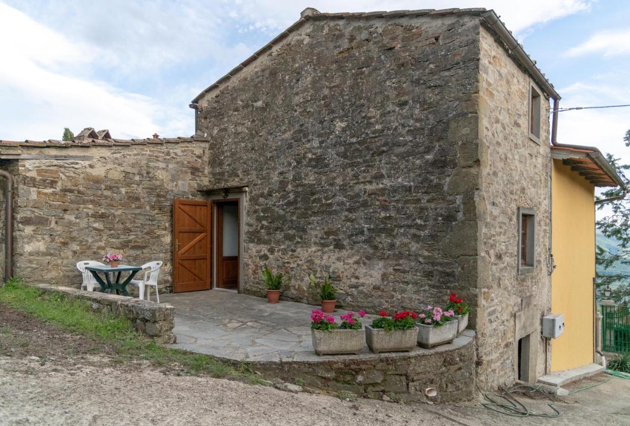 Fattoria Di Cintoia Villa Pontassieve Exteriör bild