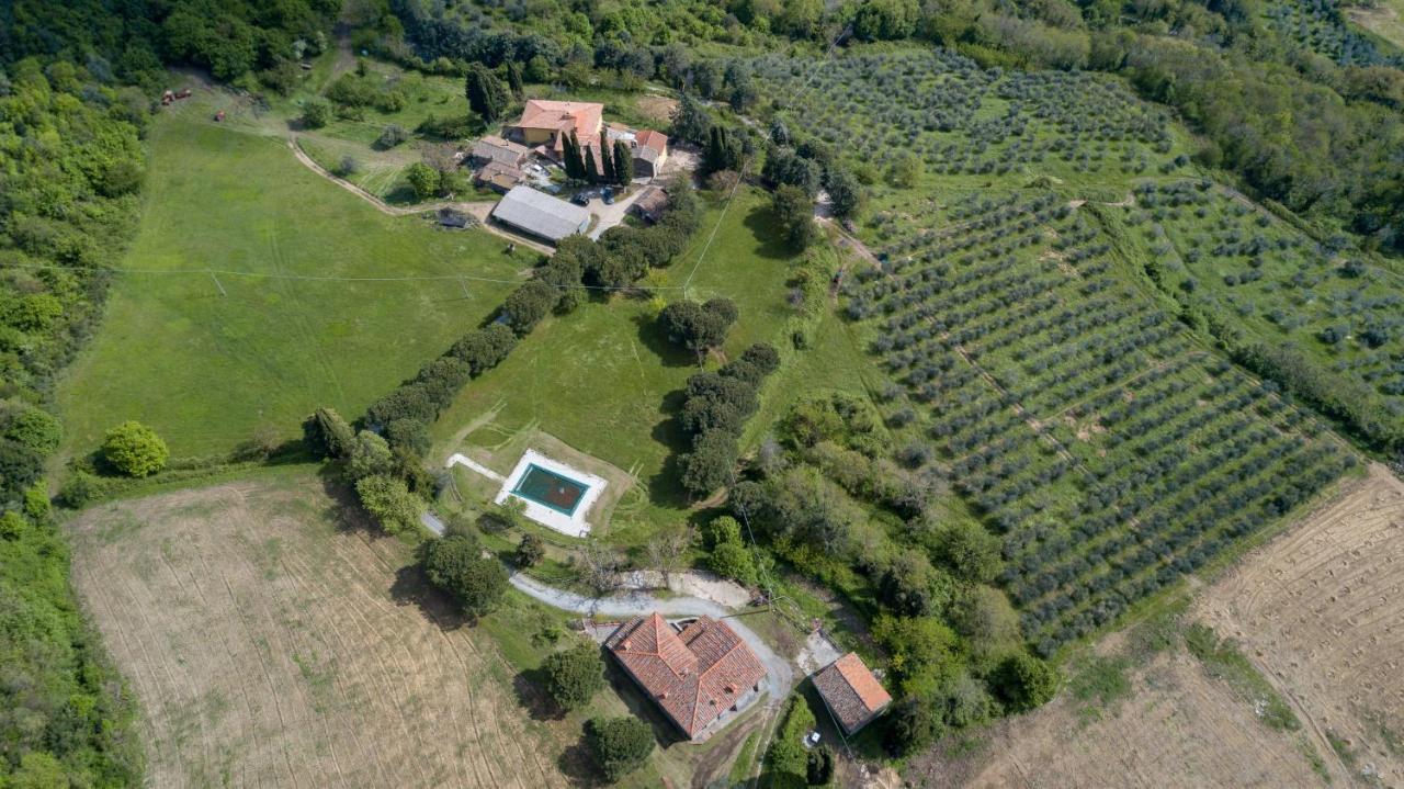 Fattoria Di Cintoia Villa Pontassieve Exteriör bild