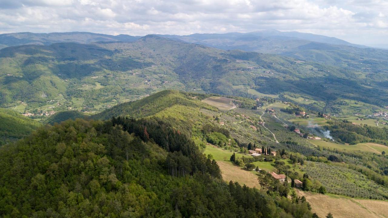 Fattoria Di Cintoia Villa Pontassieve Exteriör bild